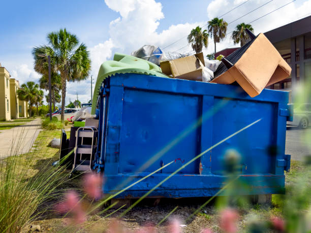 Best Attic Cleanout Services  in Cross Lanes, WV